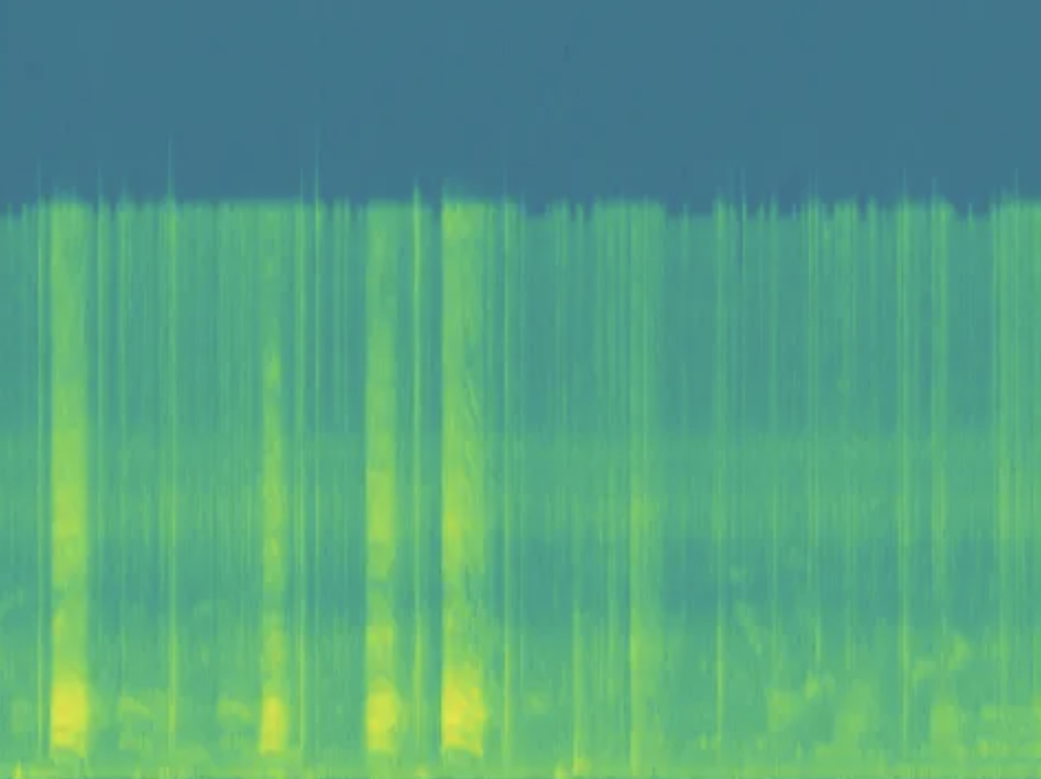 Spectrogram of a sound showing its frequency content over time